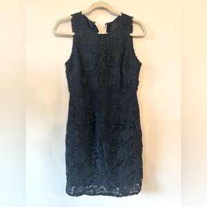 J Crew Navy Lace Dress
